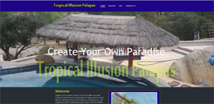 Tropical Illusion Palapas home page